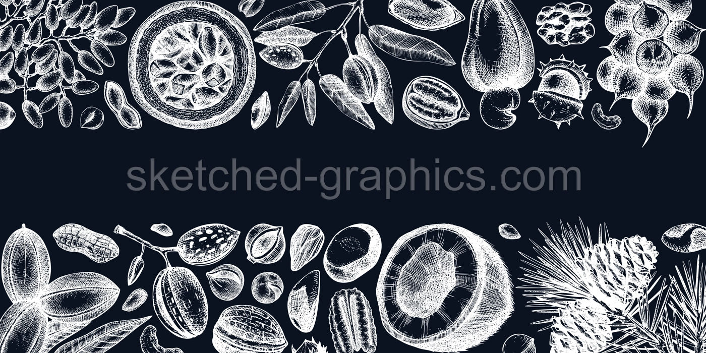 Vector nuts banner on chalkboard. Vintage nuts background in sketched style. Healthy food ingredients template with botanical illustrations. Realistic branches, plants, fruits, nutshells sketches. Illustration